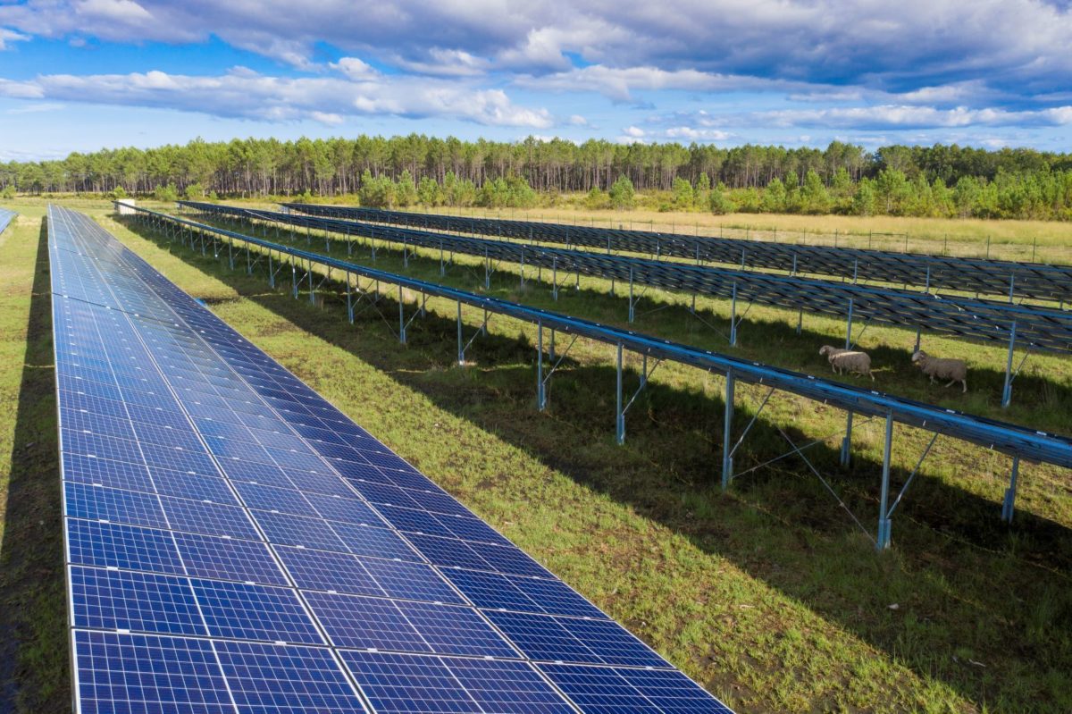 découvrez notre projet photovoltaïque en france, une initiative innovante pour promouvoir les énergies renouvelables. rejoignez-nous dans notre démarche éco-responsable et contribuez à un avenir durable grâce à l'énergie solaire.