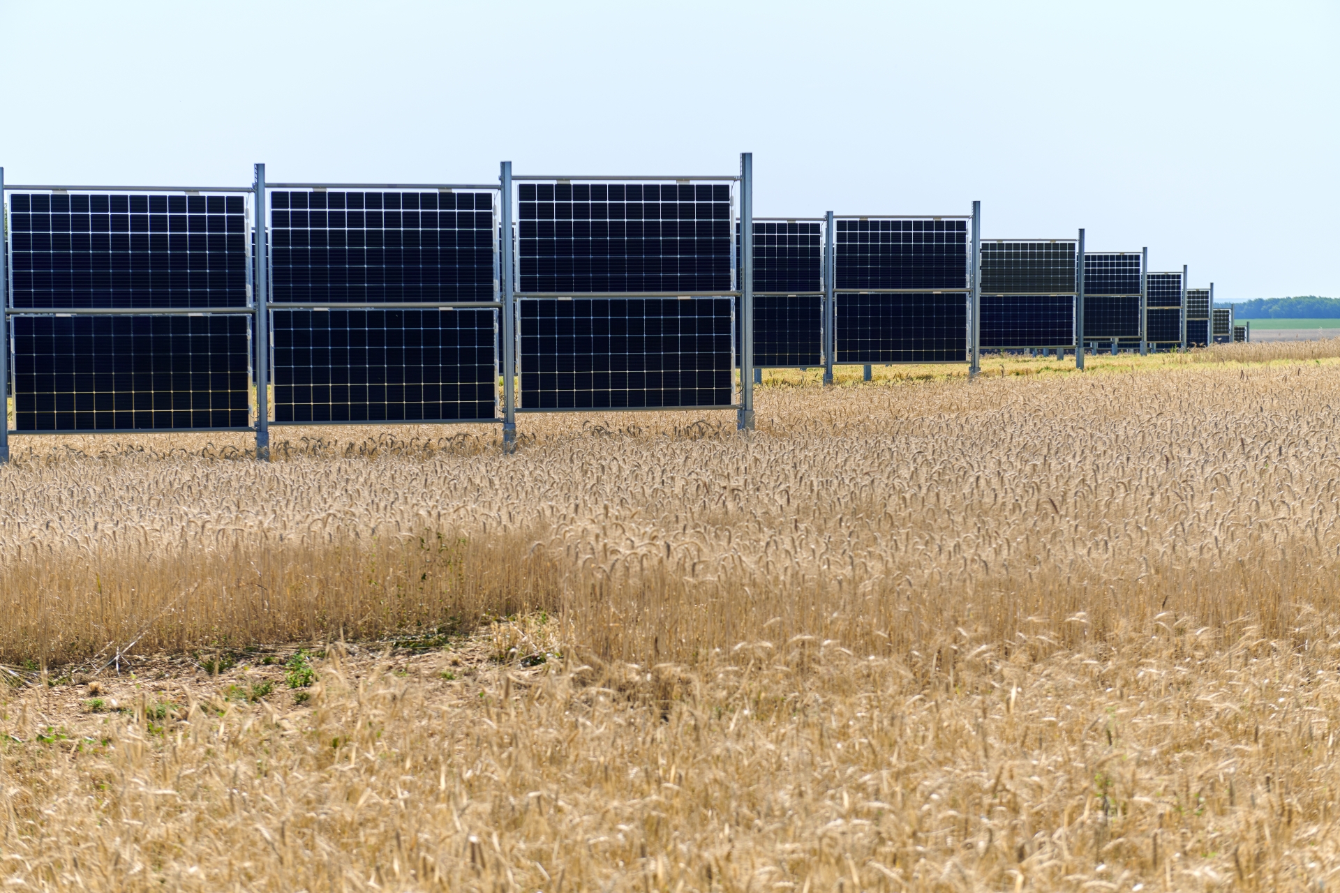 découvrez notre projet photovoltaïque en france, une initiative innovante pour promouvoir l'énergie renouvelable. engagez-vous pour un avenir durable grâce à nos solutions solaires conçues pour maximiser l'efficacité énergétique et réduire l'empreinte carbone. rejoignez le mouvement vers une énergie propre et accessible à tous.