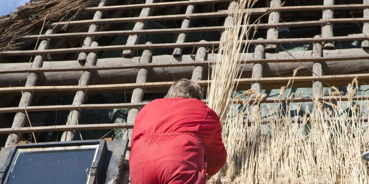 découvrez tout ce qu'il faut savoir sur la toiture : types, matériaux, entretien et rénovation. obtenez des conseils d'experts pour protéger et embellir votre maison avec une toiture durable et esthétique.