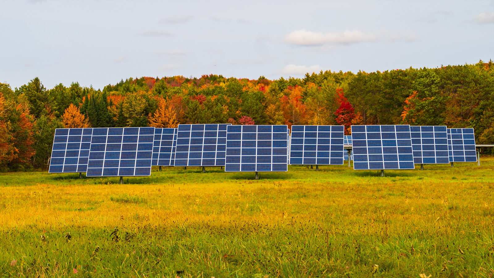 découvrez les perspectives et innovations des panneaux photovoltaïques en 2025. explorez les dernières tendances, technologies émergentes et opportunités d'investissement dans le secteur de l'énergie renouvelable.