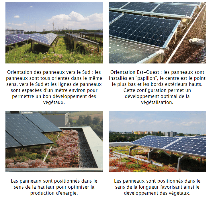 découvrez comment maximiser la rentabilité de vos panneaux photovoltaïques grâce à nos conseils pratiques et analyses approfondies. apprenez à évaluer les économies d'énergie, les aides financières et les meilleures pratiques pour un investissement rentable et durable.