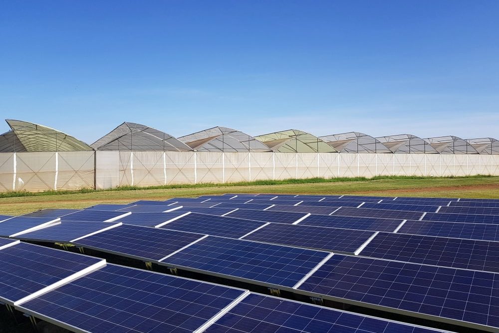 découvrez comment revendre votre électricité photovoltaïque et maximiser vos revenus grâce à une gestion efficace de votre production d'énergie solaire. informez-vous sur les démarches, les tarifs d'achat, et les avantages économiques d'une telle initiative.