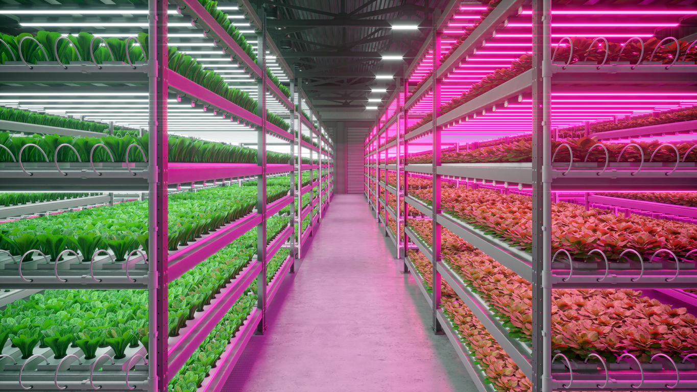 découvrez la révolution de l'éclairage avec my light system. transformez votre espace grâce à des solutions d'éclairage intelligentes et personnalisées, alliant technologie et design pour un confort inégalé.