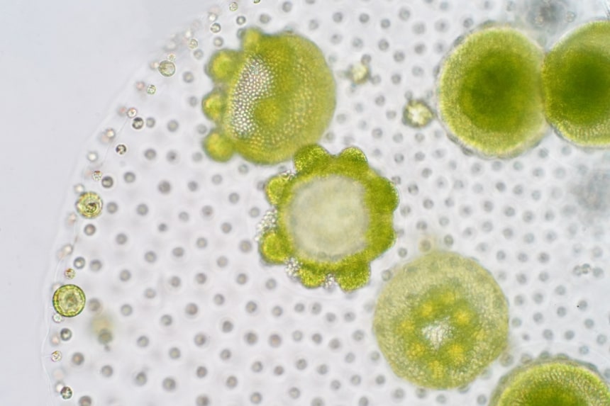 découvrez la révolution des matériaux texturés : innovations, applications et tendances qui transforment notre approche du design et de l'architecture. plongez dans un monde de textures captivantes et de sensations uniques.