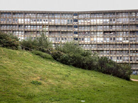 découvrez l'univers captivant de robin emley, un artiste talentueux dont les œuvres allient créativité et émotion. plongez dans son parcours artistique et explorez ses créations uniques qui inspirent et fascinent.