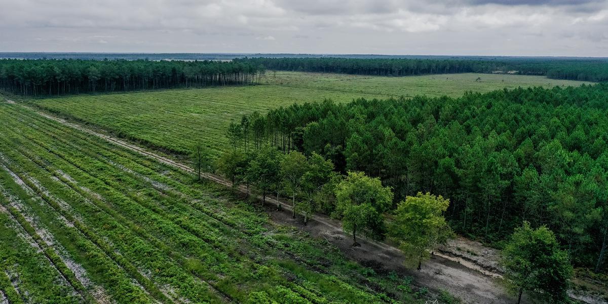 découvrez les dernières solutions d'énergie solaire en gironde. profitez des avantages d'une énergie renouvelable, économisez sur vos factures d'électricité et contribuez à la protection de l'environnement. contactez nos experts pour un devis personnalisé et optimisez votre installation solaire.