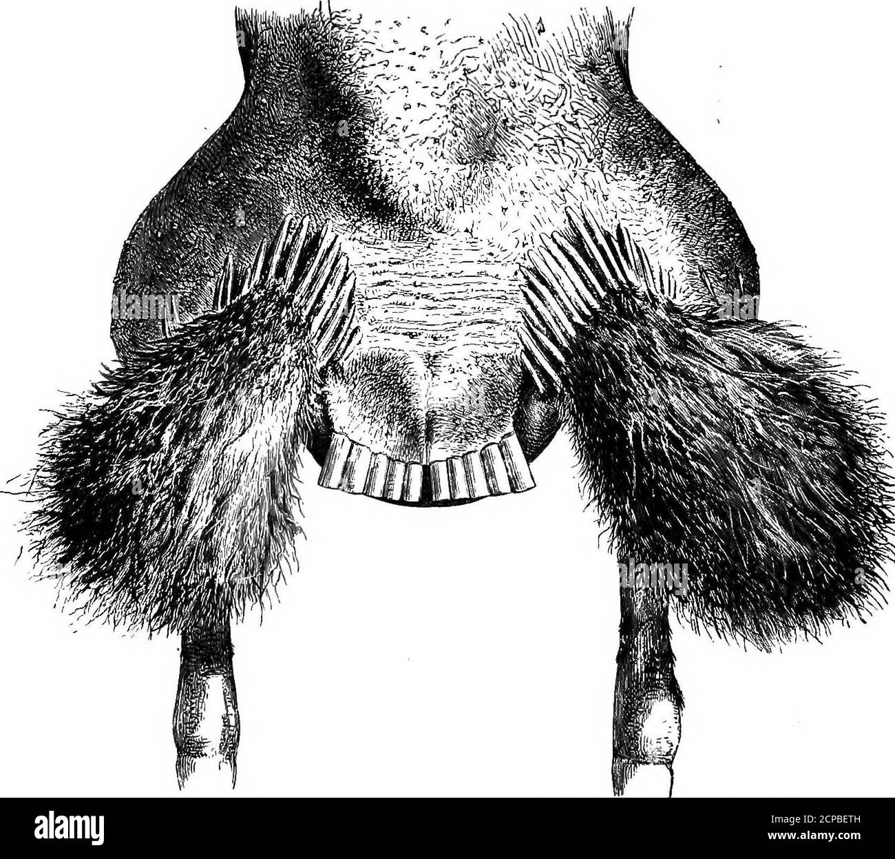 découvrez solatek, votre expert en solutions solaires innovantes. profitez d'énergies renouvelables durables et économiques pour réduire votre empreinte carbone et optimiser votre consommation d'énergie.