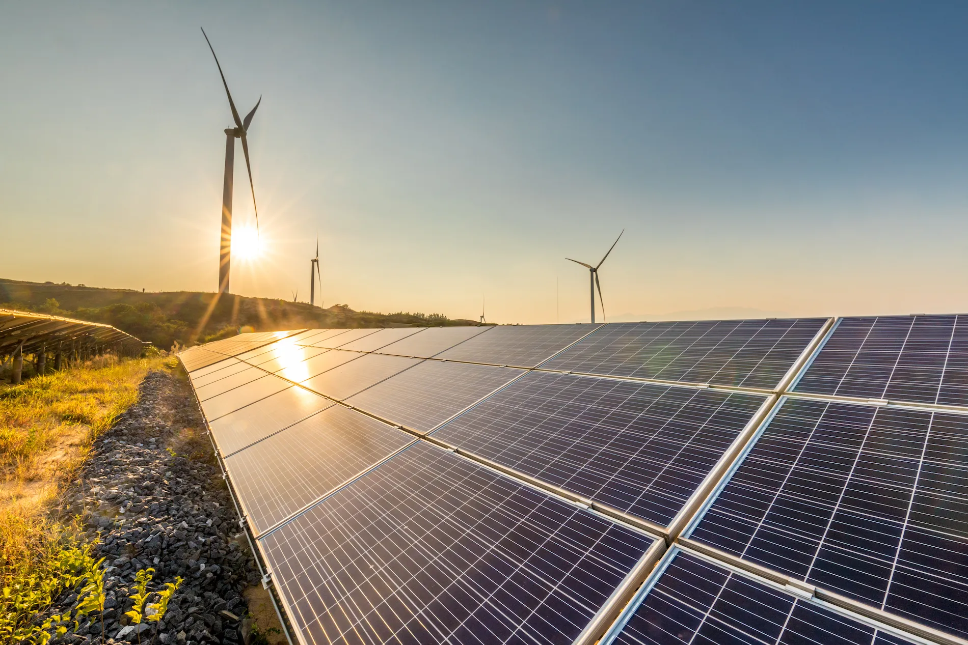 découvrez notre stage solaire, une expérience immersive qui vous permettra d'apprendre tout sur l'énergie solaire, ses applications et son impact environnemental. rejoignez-nous pour des ateliers pratiques et des échanges enrichissants dans un cadre inspirant.