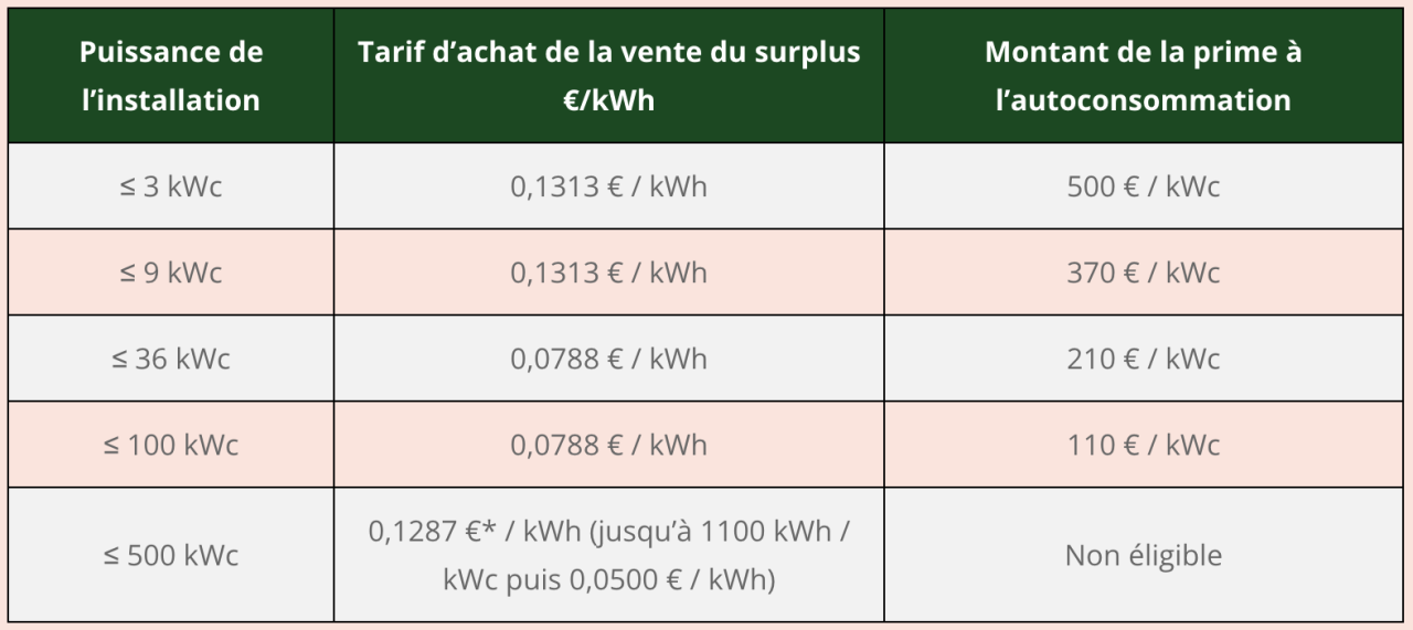 découvrez le tarif de rachat photovoltaïque pour 2025, une opportunité à ne pas manquer pour rentabiliser votre installation solaire. informez-vous sur les conditions, les bénéfices et les évolutions du marché pour optimiser votre investissement énergétique.