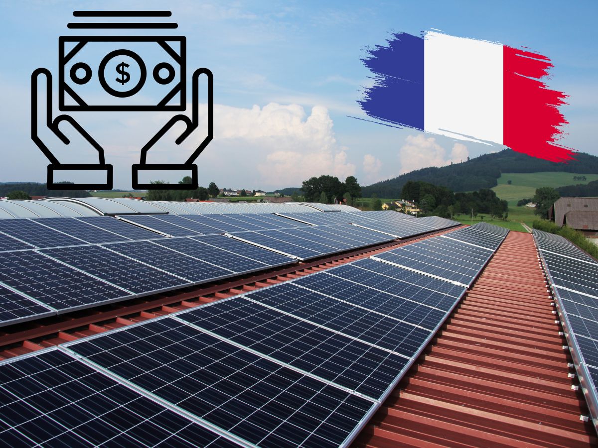 découvrez les tarifs de rachat photovoltaïque pour l'année 2025 et comment ils peuvent influencer votre projet d'énergie solaire. obtenez des informations détaillées sur les tendances du marché et les opportunités d'investissement durable.