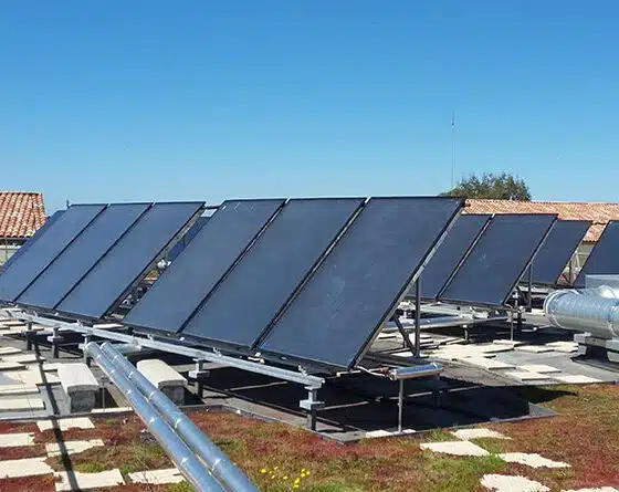 découvrez des témoignages authentiques sur l'énergie photovoltaïque. apprenez comment nos clients ont transformé leur consommation énergétique, réduit leur facture d'électricité et contribué à un avenir durable grâce à l'énergie solaire.