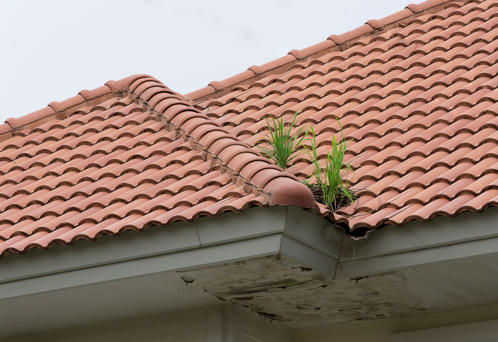 découvrez tout ce qu'il faut savoir sur la toiture canal : ses avantages, ses spécificités et les meilleures techniques d'installation pour garantir l'étanchéité et la durabilité de votre toiture. choisissez la toiture canal pour allier esthétisme et performance.