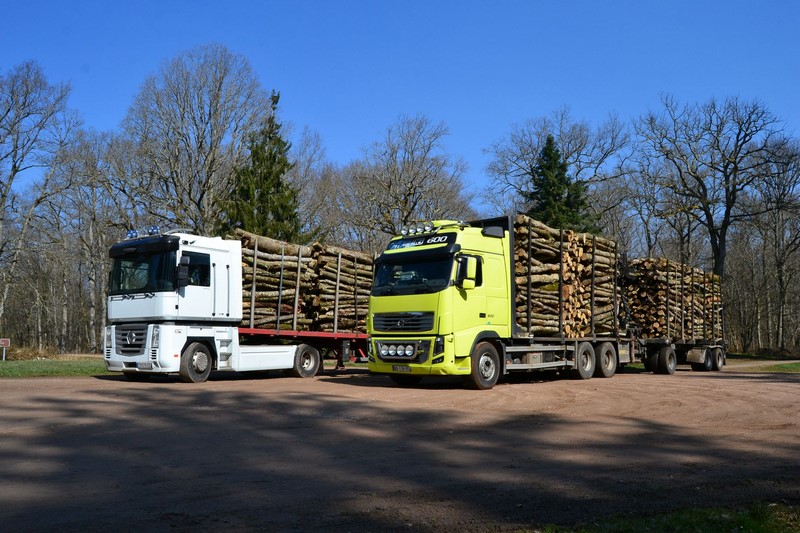 découvrez nos services de transport de bois, spécialisés dans la livraison rapide et sécurisée de vos matériaux. que ce soit pour des projets de construction ou d'aménagement, nous assurons un service fiable et adapté à vos besoins.