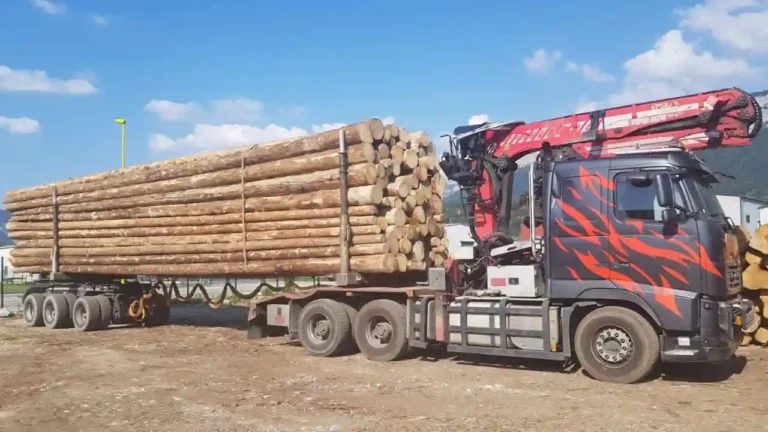 découvrez nos solutions de transport de bois adaptées à vos besoins. que ce soit pour le bois brut ou transformé, nos services garantissent sécurité et efficacité pour vos livraisons. faites confiance à notre expertise pour un service de transport fiable et rapide.