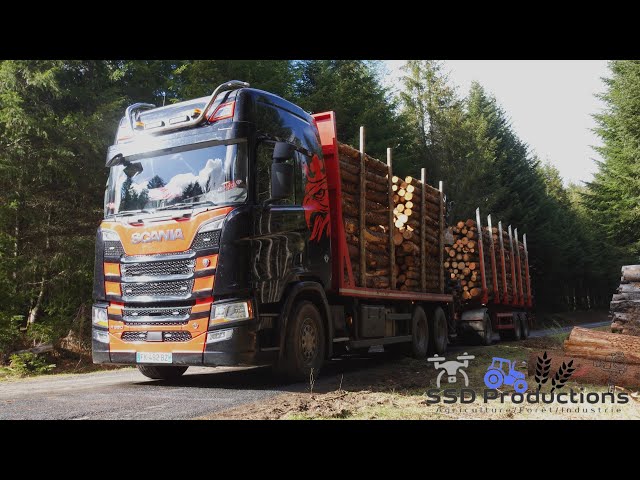 découvrez nos solutions de transport de bois, alliant efficacité et respect de l'environnement. profitez d'un service fiable et rapide pour la livraison de vos matériaux. contactez-nous dès aujourd'hui !