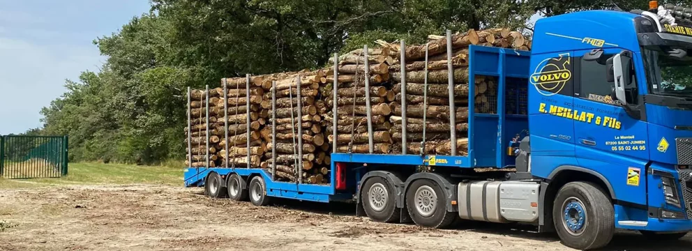 découvrez nos services de transport de bois, garantissant sécurité et efficacité pour tous vos besoins en matière de livraison de bois. que ce soit pour des projets de construction, de menuiserie ou de chauffage, notre équipe s'occupe de tout, de la prise en charge à la livraison.