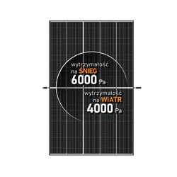 découvrez les panneaux solaires trina solar vertex 405w, alliant performance et efficacité énergétique. idéaux pour optimiser votre production d'énergie tout en réduisant votre empreinte carbone, ces modules photovoltaïques de haute qualité sont conçus pour résister aux conditions climatiques rigoureuses. faites le choix d'une énergie durable avec trina solar.