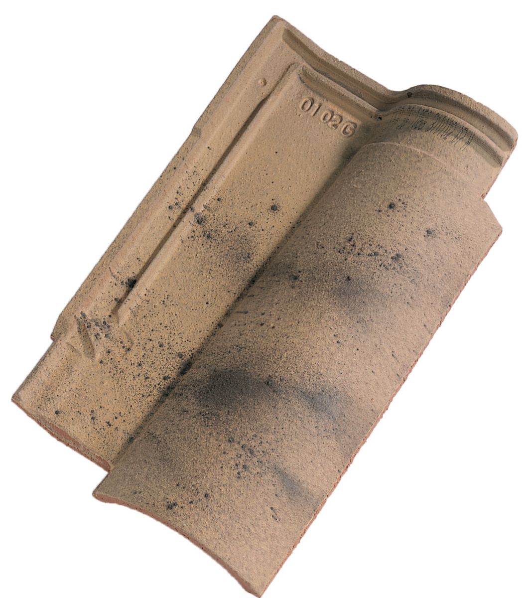 découvrez la tuile omega 10, une solution innovante pour votre toiture alliant esthétisme et performance. résistante aux intempéries, elle garantit une protection durable tout en offrant un design moderne et élégant. idéale pour tous vos projets de construction ou de rénovation.