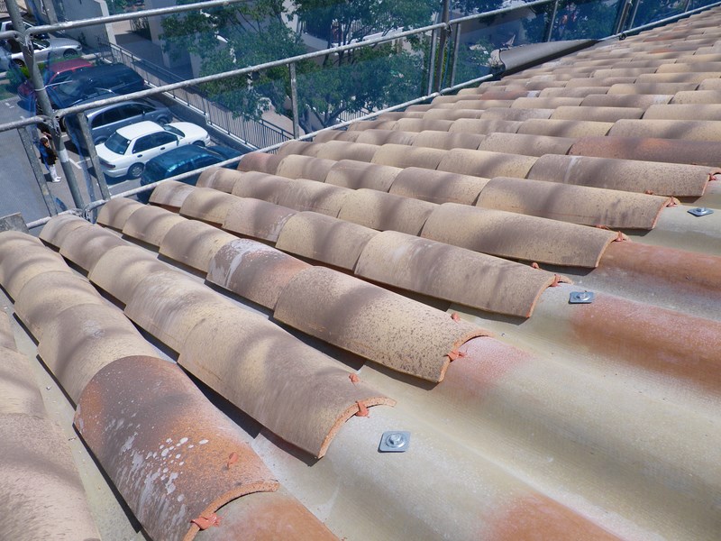 découvrez les tuiles canal pst, idéales pour allier esthétisme et performance. résistantes aux intempéries, ces tuiles offrent une excellente isolation et un charme authentique pour votre toiture. optez pour une solution durable et élégante!