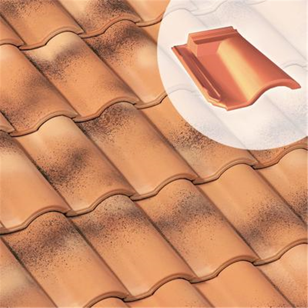 découvrez les tuiles gr13, un choix idéal pour vos projets de couverture. alliant durabilité et esthétisme, ces tuiles offrent une excellente résistance aux intempéries et s'adaptent parfaitement à tous les styles d'architecture. optez pour une toiture de qualité supérieure avec les tuiles gr13.