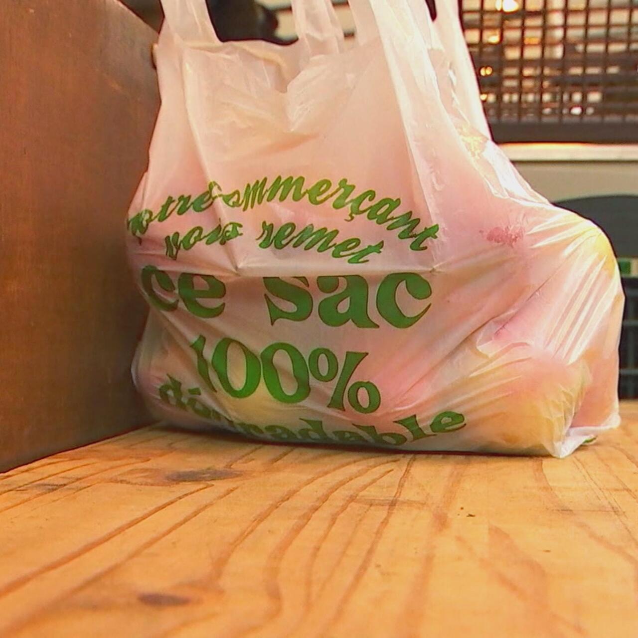 découvrez les plastiques biodégradables, une solution innovante et écologique pour réduire notre impact environnemental. apprenez comment ces matériaux se décomposent naturellement et contribuent à un avenir durable.