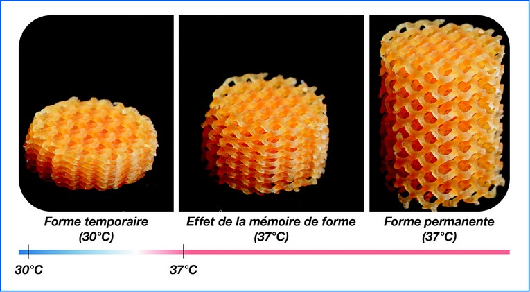 découvrez comment la synergie entre différentes techniques de fabrication additive transforme l'industrie en améliorant la conception, la production et la durabilité des produits. explorez les enjeux et les avantages de l'intégration de ces technologies innovantes.