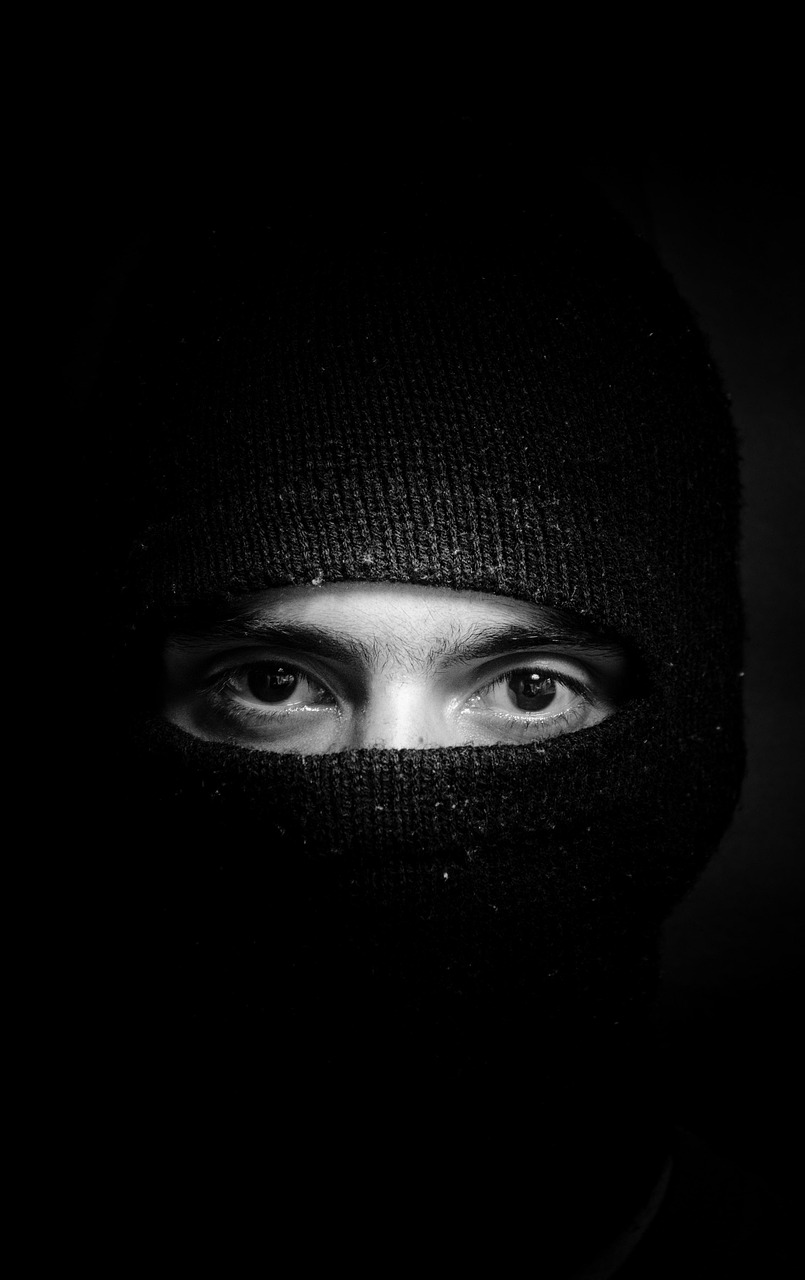 découvrez comment la révolution photographique a transformé notre perception du monde. plongez dans l'évolution des techniques, des équipements et des impacts culturels qui ont redéfini l'art de capturer des images.