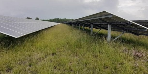 découvrez notre projet solaire innovant, conçu pour promouvoir une énergie renouvelable durable et respectueuse de l'environnement. rejoignez-nous dans cette initiative pour réduire votre empreinte carbone et contribuer à un avenir énergétique plus vert.