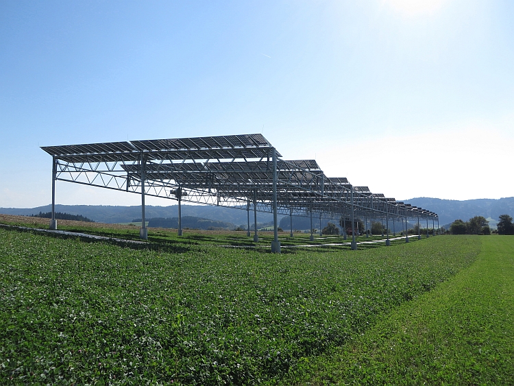 découvrez l'agri-photovoltaique, une solution innovante qui combine agriculture et énergie solaire. maximisez vos rendements tout en contribuant à la transition énergétique grâce à des systèmes photovoltaïques intégrés sur vos exploitations agricoles.