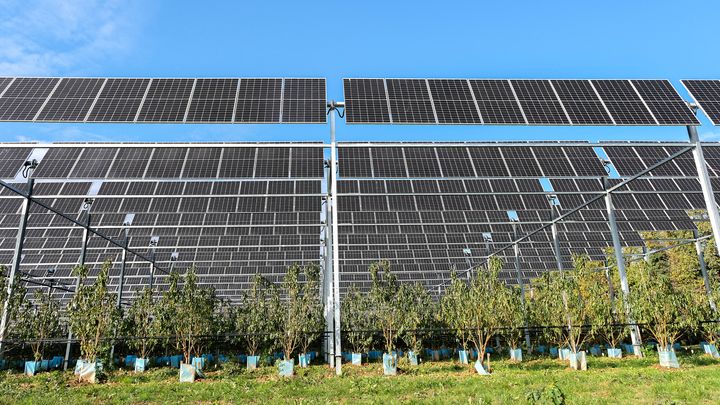 découvrez les avantages de l'agri-photovoltaique, une solution innovante alliant agriculture et production d'énergie solaire. optimisez vos terres tout en contribuant à la transition énergétique grâce à des installations solaires adaptées.