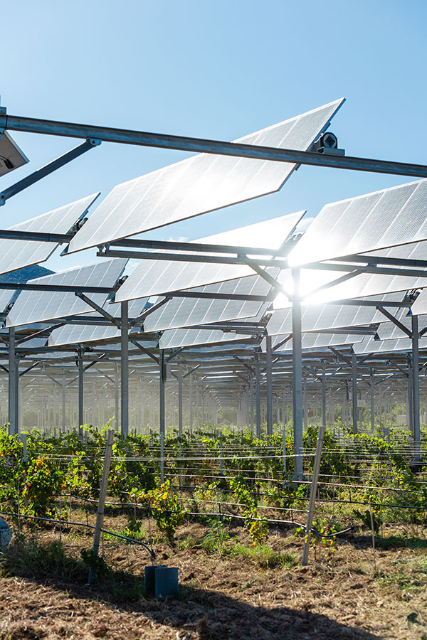 découvrez comment agrisolarpv et arec unissent leurs efforts pour valoriser les toitures en occitanie grâce à des solutions photovoltaïques innovantes, promouvant une énergie verte et durable dans la région.