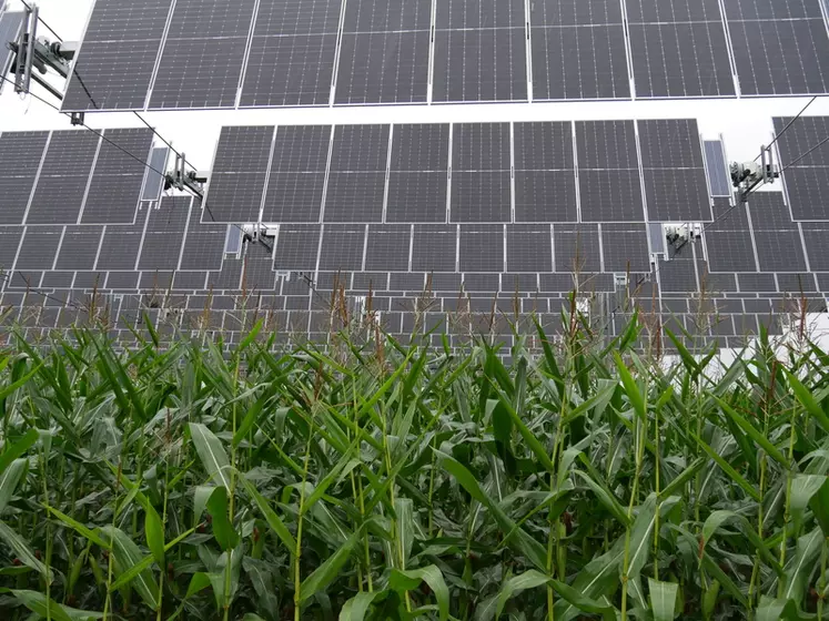 découvrez l'agro-photovoltaïque, une solution innovante alliant agriculture et énergie solaire. maximisez la production des cultures tout en générant de l'électricité durable, contribuant ainsi à la transition énergétique et à la préservation de l'environnement.