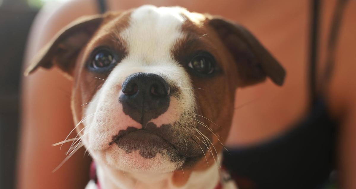 découvrez les avis sur amily, une plateforme innovante qui propose des solutions adaptées à vos besoins. lisez les retours d'expérience de nos utilisateurs pour faire le bon choix et maximiser votre satisfaction.