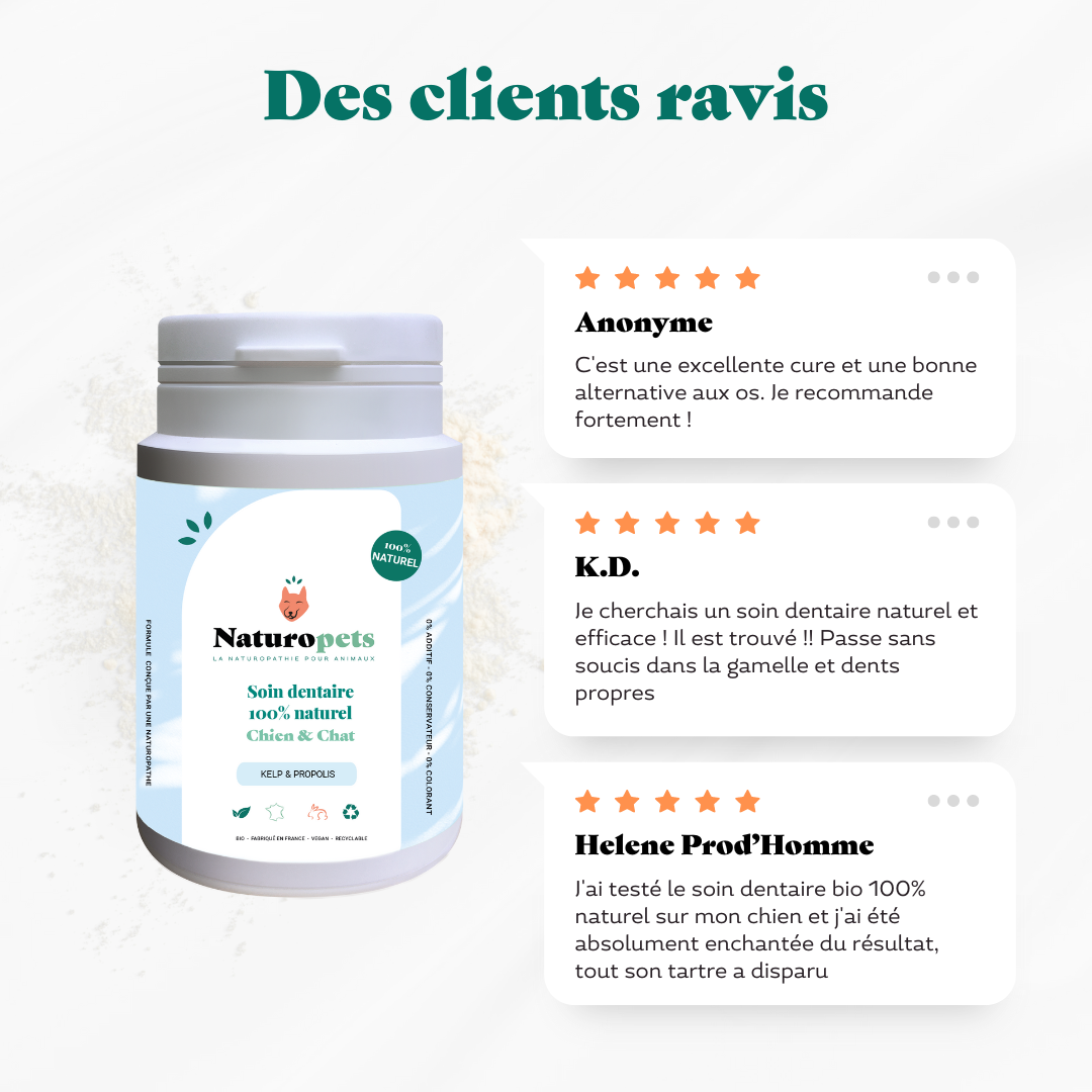 découvrez notre guide complet sur les avis concernant les anti-tartres. apprenez à choisir le produit adapté à vos besoins, les différentes options disponibles sur le marché et les retours d'expérience des utilisateurs pour une efficacité optimale contre le tartre.