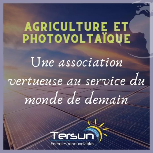 découvrez l'association solaire, un groupe engagé dans la promotion des énergies renouvelables et la sensibilisation à l'énergie solaire. rejoignez-nous pour participer à des projets innovants, des événements éducatifs et des initiatives communautaires visant à construire un avenir durable.