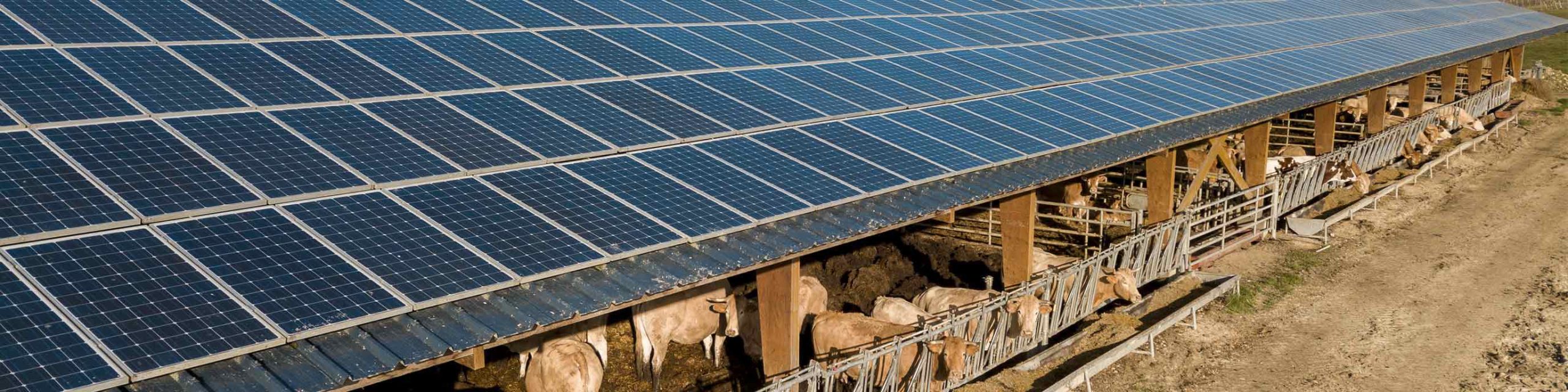 découvrez notre assurance incendie spécialement conçue pour les systèmes photovoltaïques. protégez votre installation solaire contre les risques d'incendie et assurez-vous une tranquillité d'esprit grâce à une couverture adaptée. profitez de notre expertise pour sécuriser votre investissement et maximiser vos économies d'énergie.