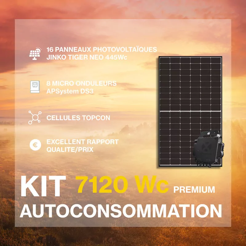 découvrez ce qu'est l'autoconsommation non déclarée, ses enjeux légaux et les conséquences pour les particuliers. informez-vous sur les pratiques à adopter et les risques encourus pour optimiser votre consommation énergétique tout en respectant la législation.