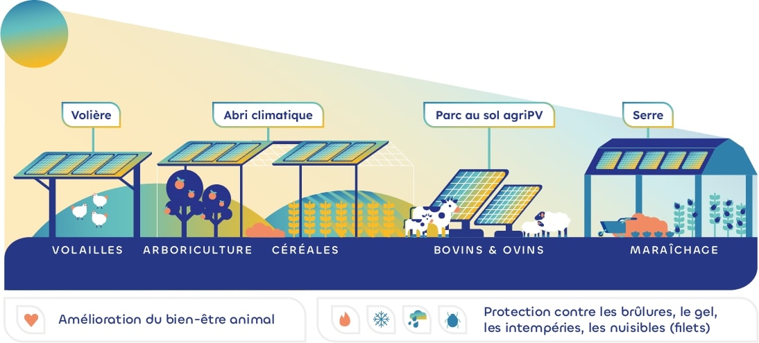 découvrez les nombreux avantages des panneaux photovoltaïques, tels que la réduction des factures d'énergie, leur impact positif sur l'environnement et les économies à long terme. optez pour une source d'énergie renouvelable et durable grâce à cette technologie innovante.