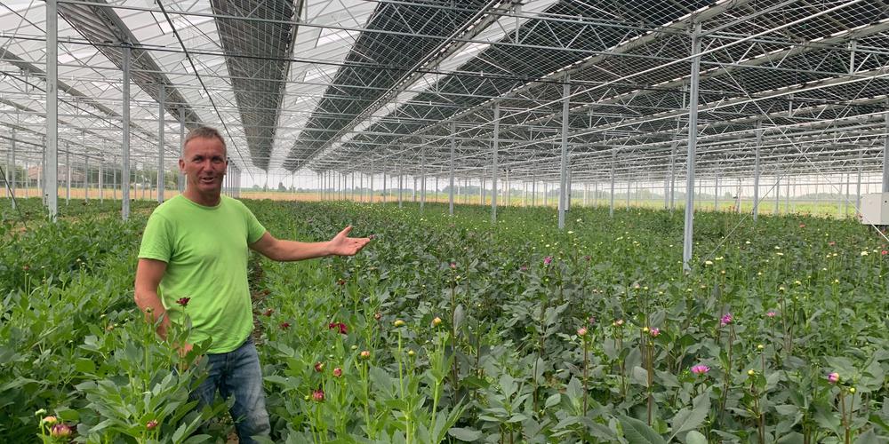 découvrez les nombreux avantages des serres photovoltaïques, alliant agriculture durable et production d'énergie renouvelable. optimisez votre espace tout en réduisant votre empreinte carbone grâce à cette technologie innovante.