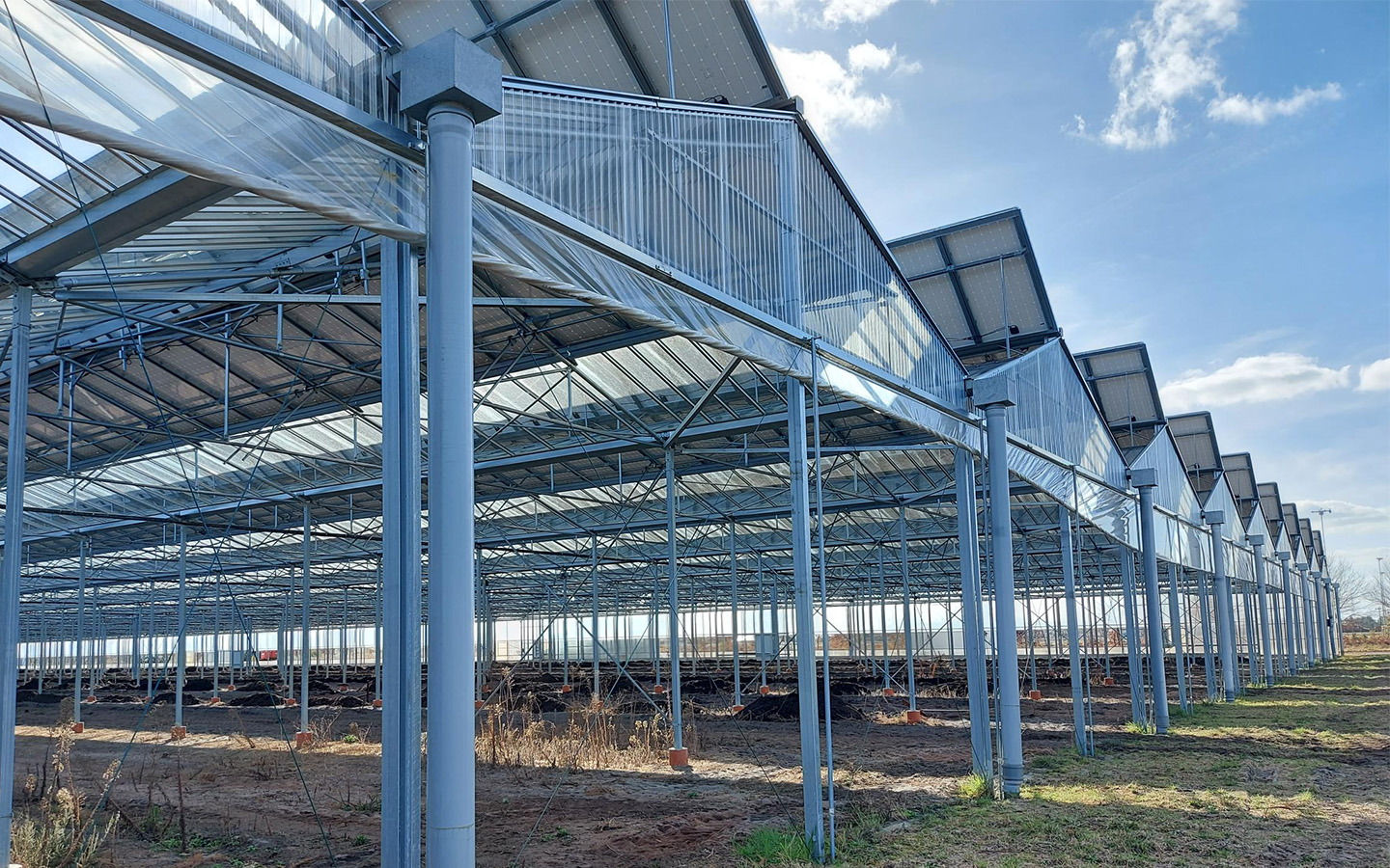 découvrez les nombreux avantages des serres photovoltaïques, une solution innovante qui allie agriculture et production d'énergie renouvelable. optimisez votre rendement tout en contribuant à la durabilité environnementale.
