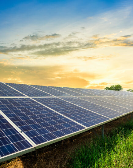 découvrez notre guide complet sur les avis photovoltaïques. explorez les retours d'expérience des utilisateurs, les avantages et inconvénients des panneaux solaires, et les installations recommandées pour vous aider à faire le meilleur choix pour votre projet d'énergie renouvelable.