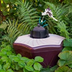 découvrez nos avis sur biogents, une entreprise spécialisée dans la lutte anti-moustiques grâce à des solutions innovantes. consultez les retours d'expérience des utilisateurs et faites le bon choix pour votre confort.