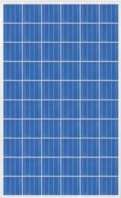 découvrez les avis sur csun pour mieux comprendre l'expérience des étudiants, le campus et les opportunités académiques. informez-vous sur la qualité de l'enseignement et la vie étudiante.