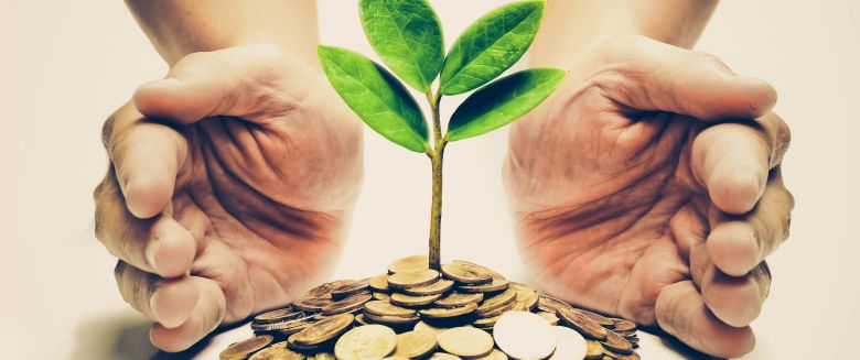 découvrez les avis sur effy, une marque réputée pour ses produits audacieux et innovants. lisez les expériences de clients et trouvez des conseils pour faire le meilleur choix.