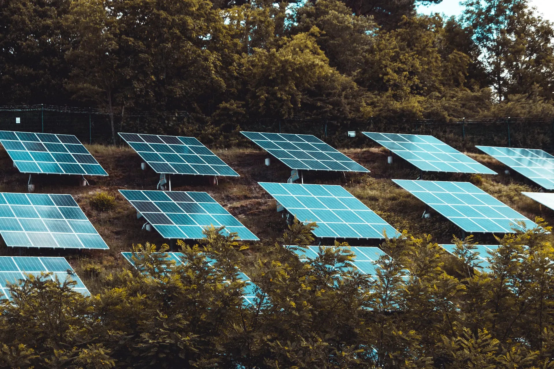 découvrez notre avis complet sur le kit solaire oscar, une solution écologique et économique pour produire votre propre énergie. analyse des performances, avantages et inconvénients, retours d'expérience : tout ce qu'il faut savoir pour faire le bon choix.