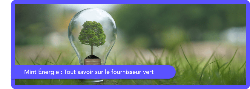 découvrez notre avis complet sur mint énergie, un fournisseur d'énergie alternatif. analysez ses offres, ses tarifs compétitifs et l'expérience client pour faire le meilleur choix pour votre consommation d'énergie.