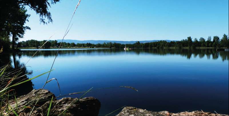 découvrez nos avis sur soual, une plateforme qui met en avant les opinions et expériences des utilisateurs. analysez les évaluations pour faire le choix le plus éclairé et savoir si soual est fait pour vous.