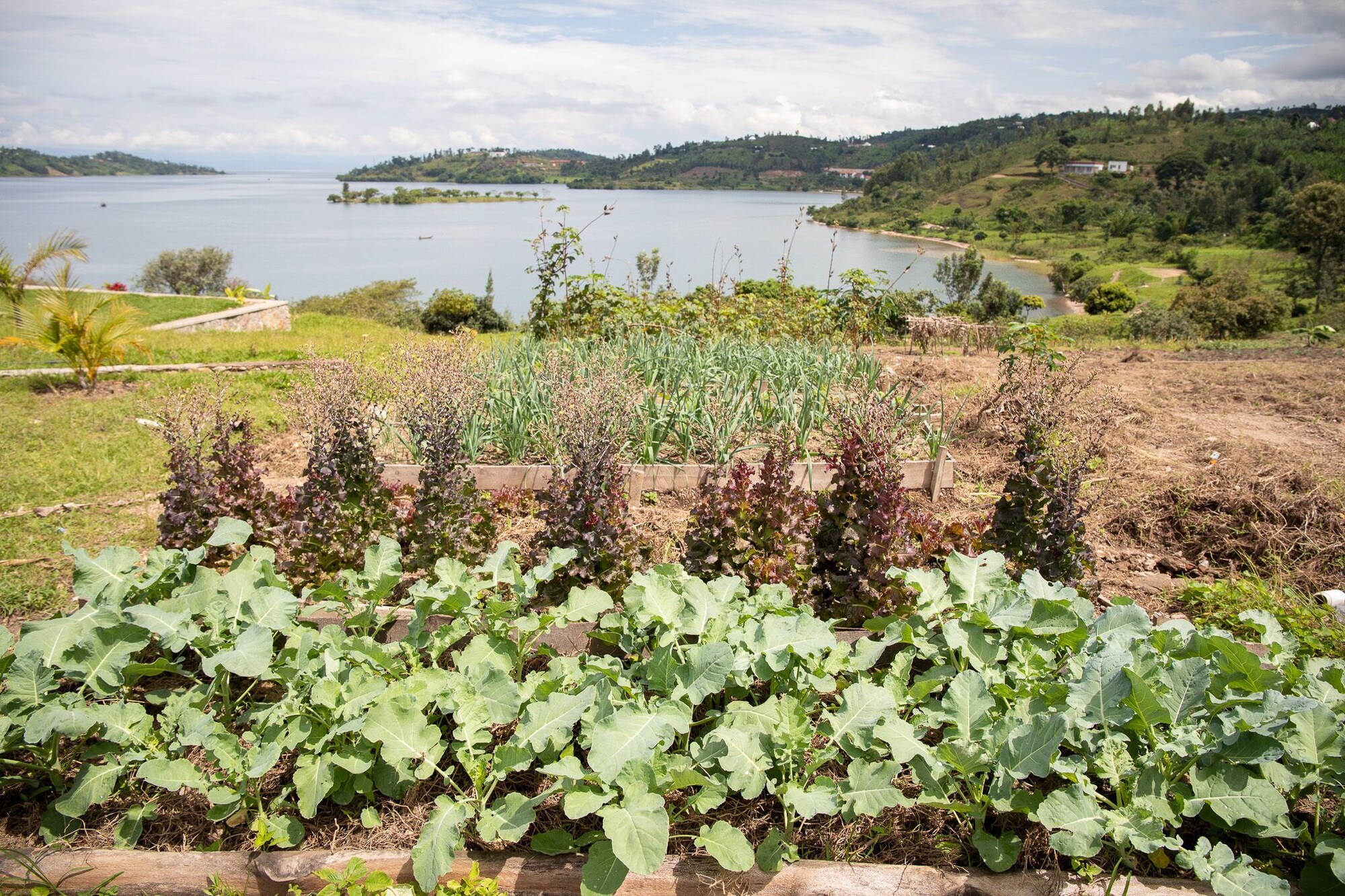 découvrez notre analyse approfondie des avis sur sun lke. explorez les retours d'expérience, les points forts et les éléments à considérer pour prendre une décision éclairée sur cette marque. idéal pour les consommateurs à la recherche d'un produit fiable et performant.