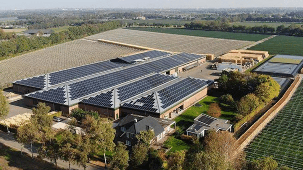 découvrez les avis sur sunpower, leader des solutions solaires. analysez les retours d'expérience de clients et experts, et choisissez la meilleure option pour votre projet énergétique.