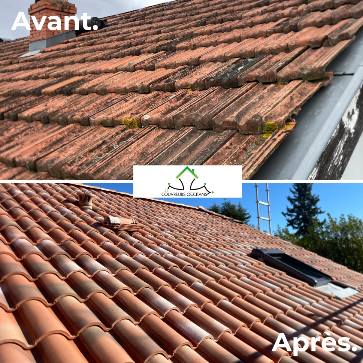 découvrez des avis fiables et des conseils pratiques sur les toits, que ce soit pour la rénovation, l'entretien ou le choix des matériaux. informez-vous avant de prendre une décision pour protéger votre maison.